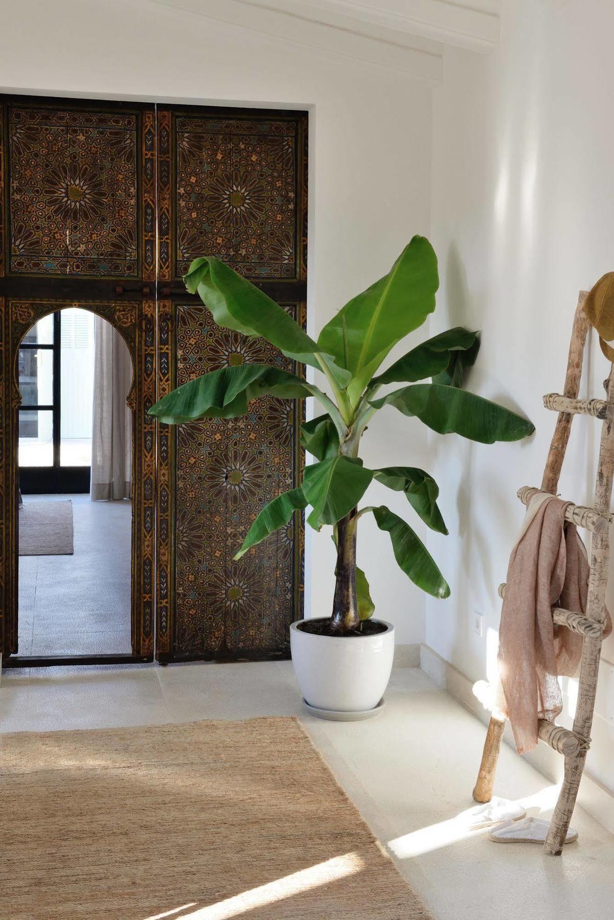 Hotel Cal Reiet Holistic Retreat à Santanyí Extérieur photo